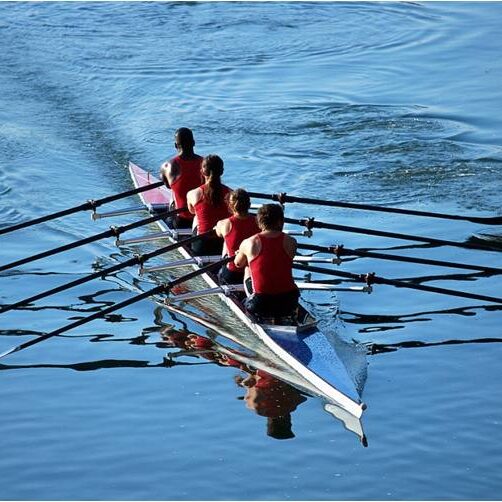 rowing rowing